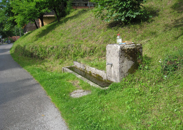Old limestone trough for livestock, where newt eggs were found, north-central Croatia.