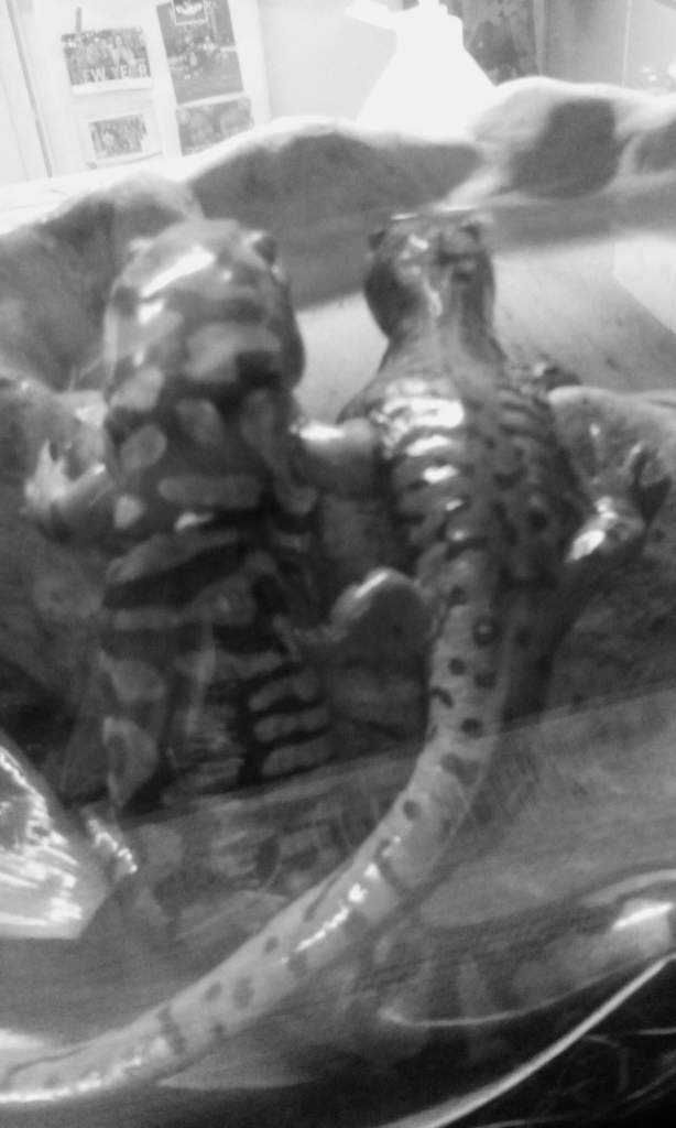 One of my favorite photos <3