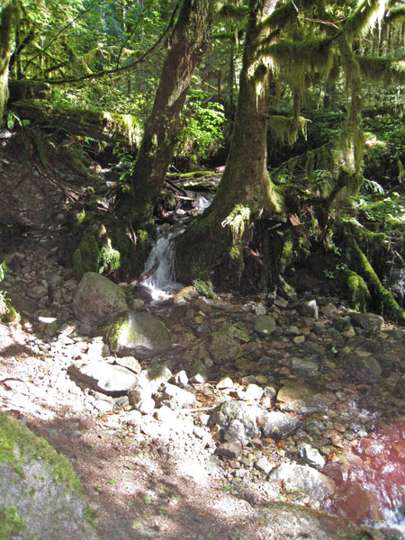 opal creek8