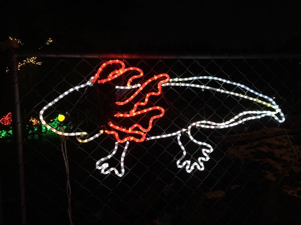oregon zoo lights Newts and Salamanders Portal