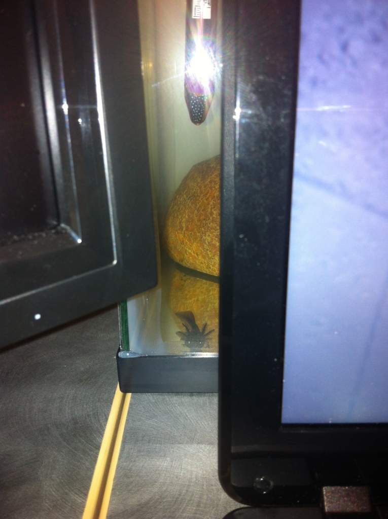Oscar Creeping on me....