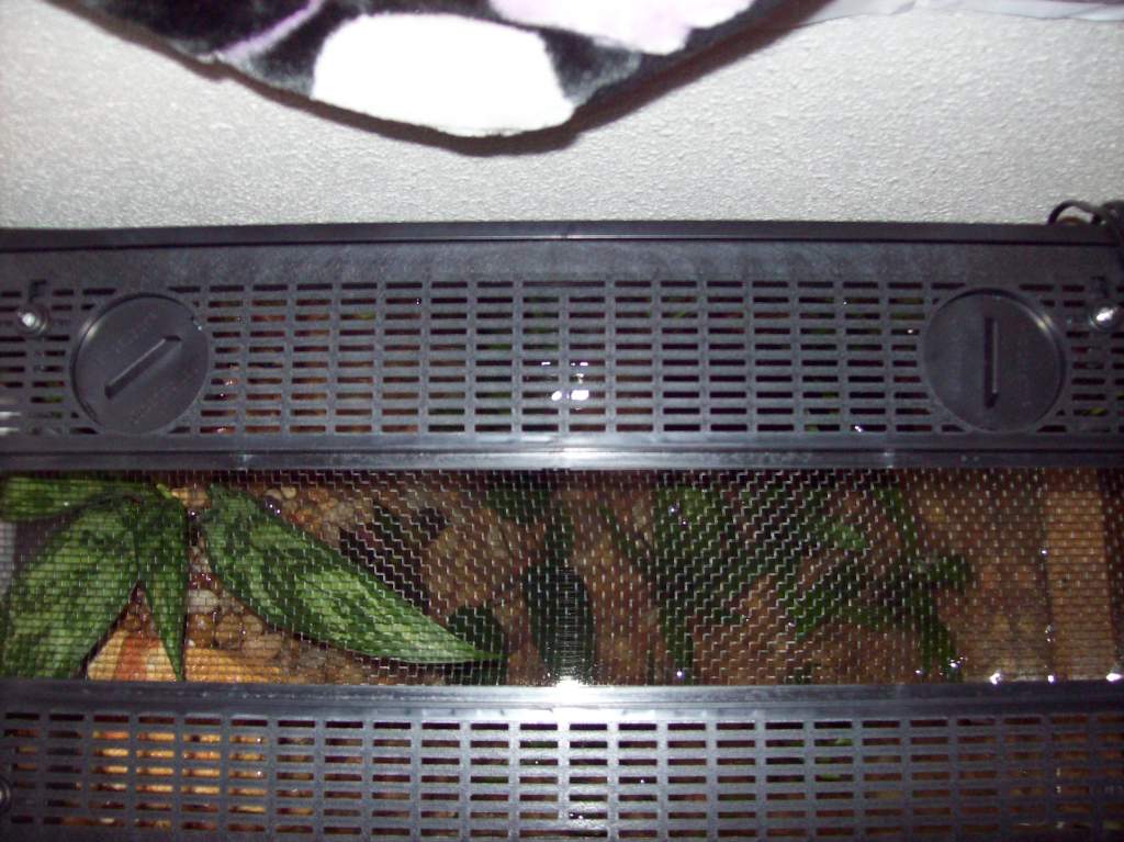 Overhead of tank with screen.