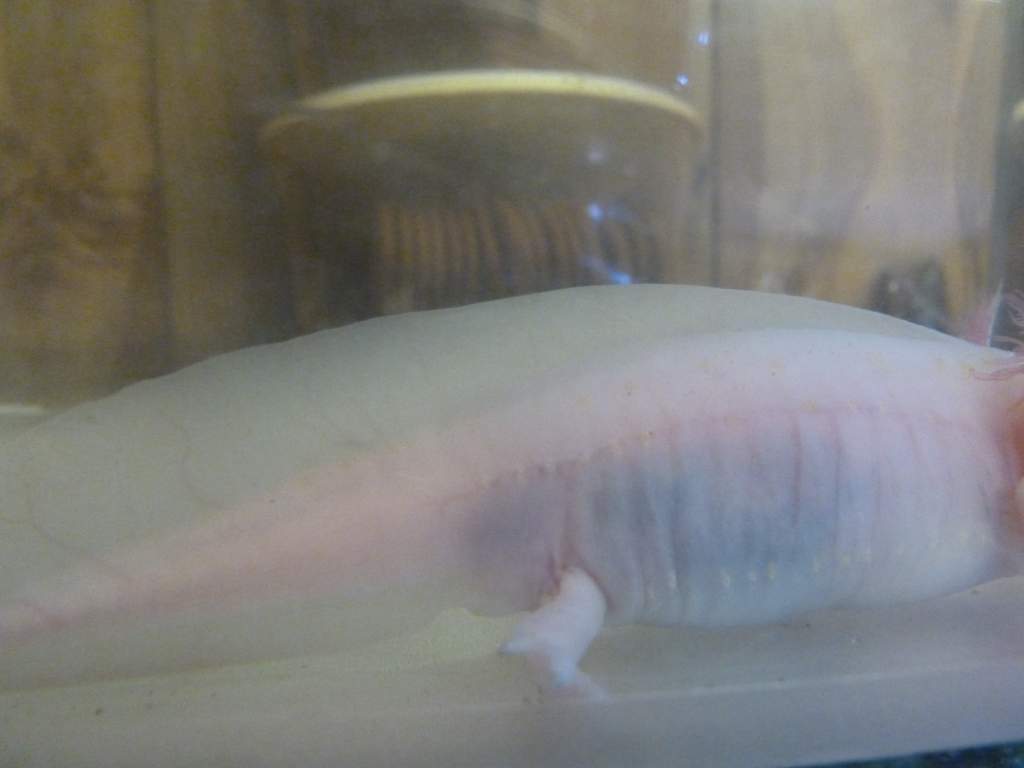 P1000597