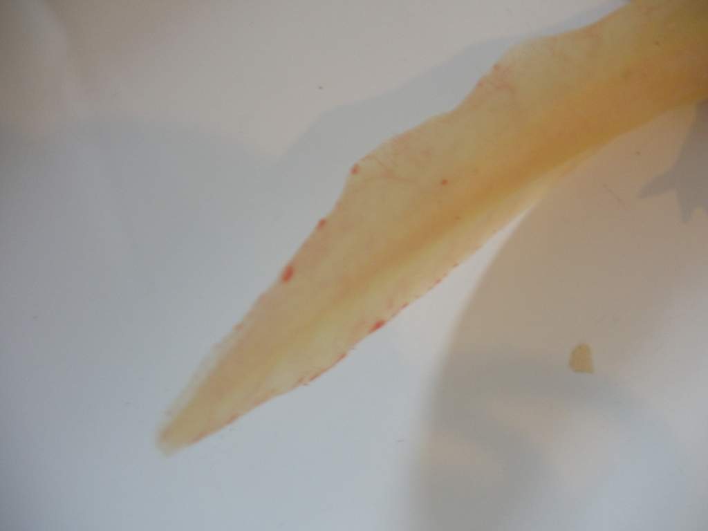 P1011212