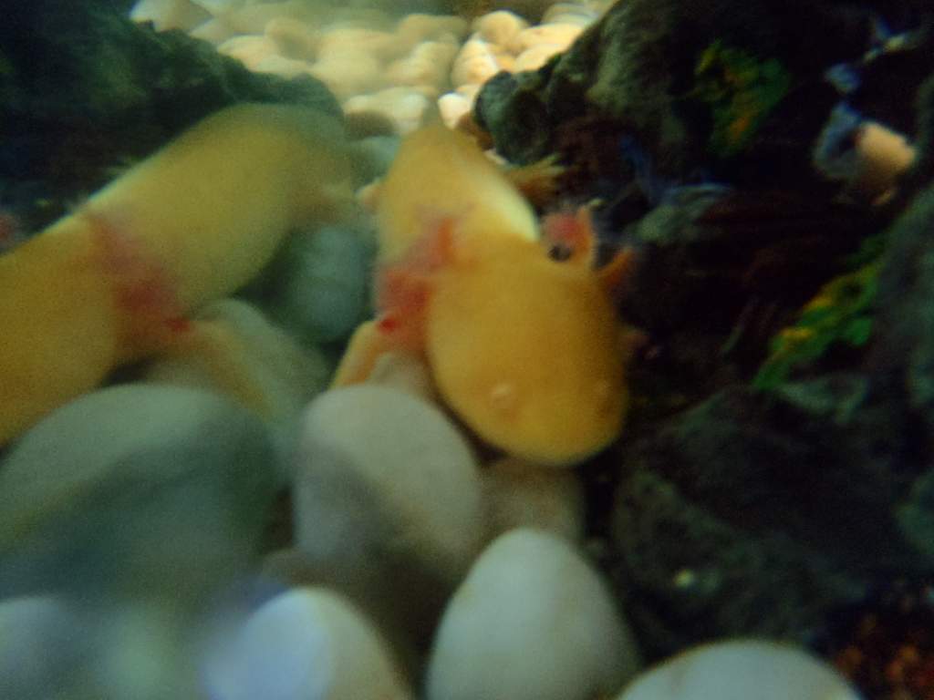 P9300143