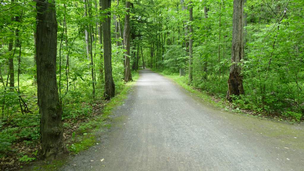 Path