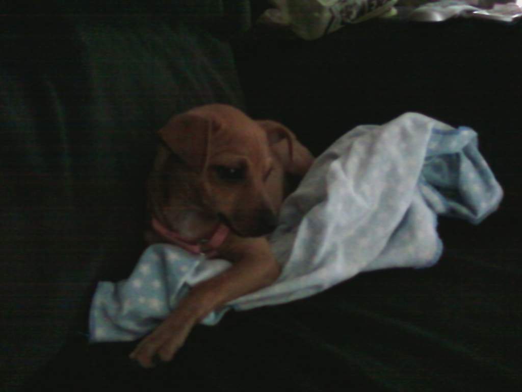 peanut