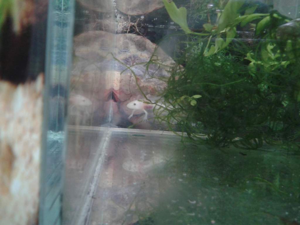 peekaboo!