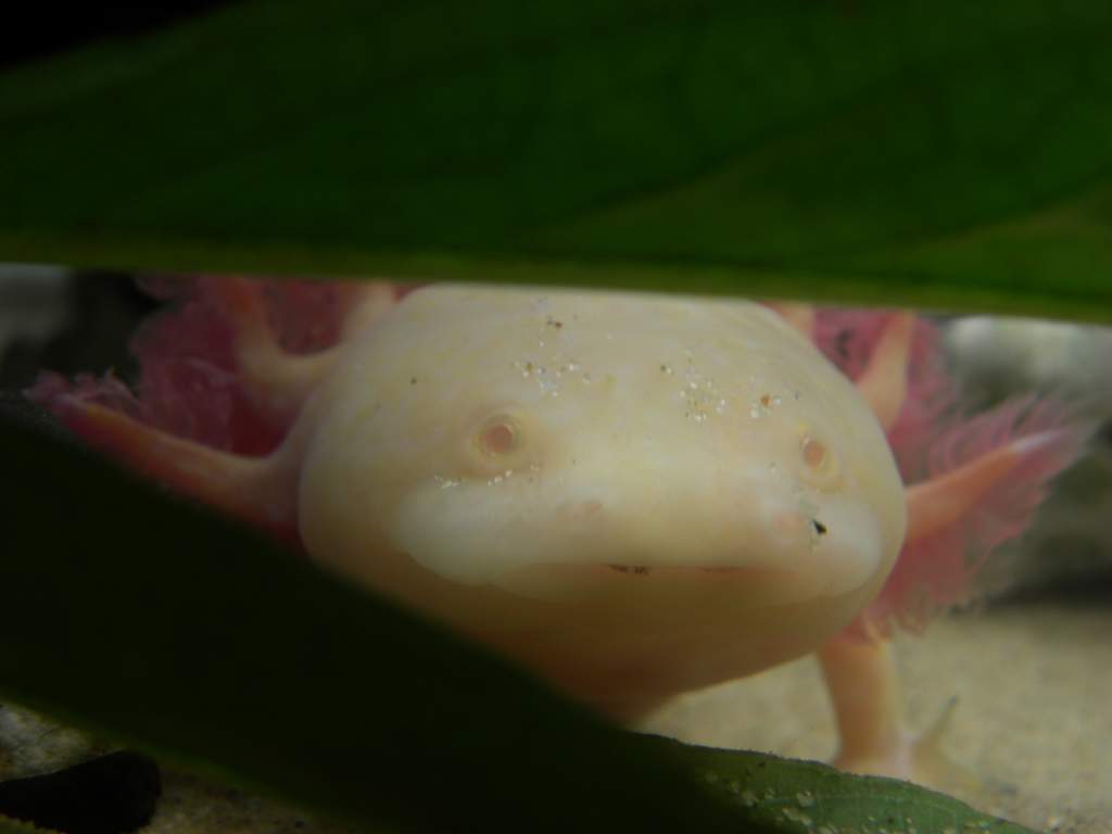 Peekaboo!
