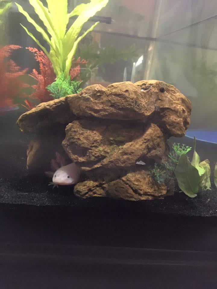 Peeking :D
