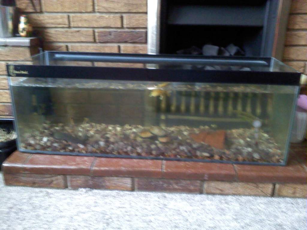 Photo 0004