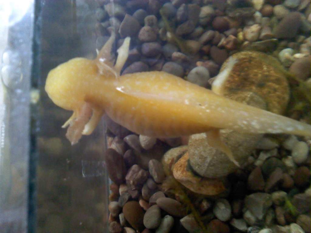 Photo 0005