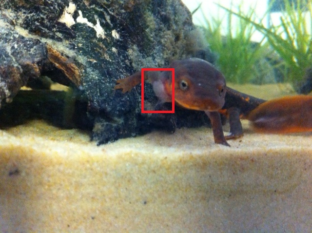 photo (1)