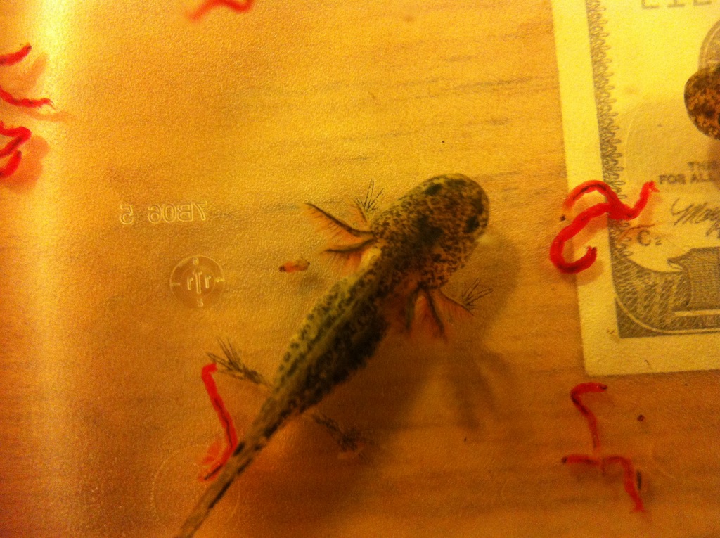 photo (10)