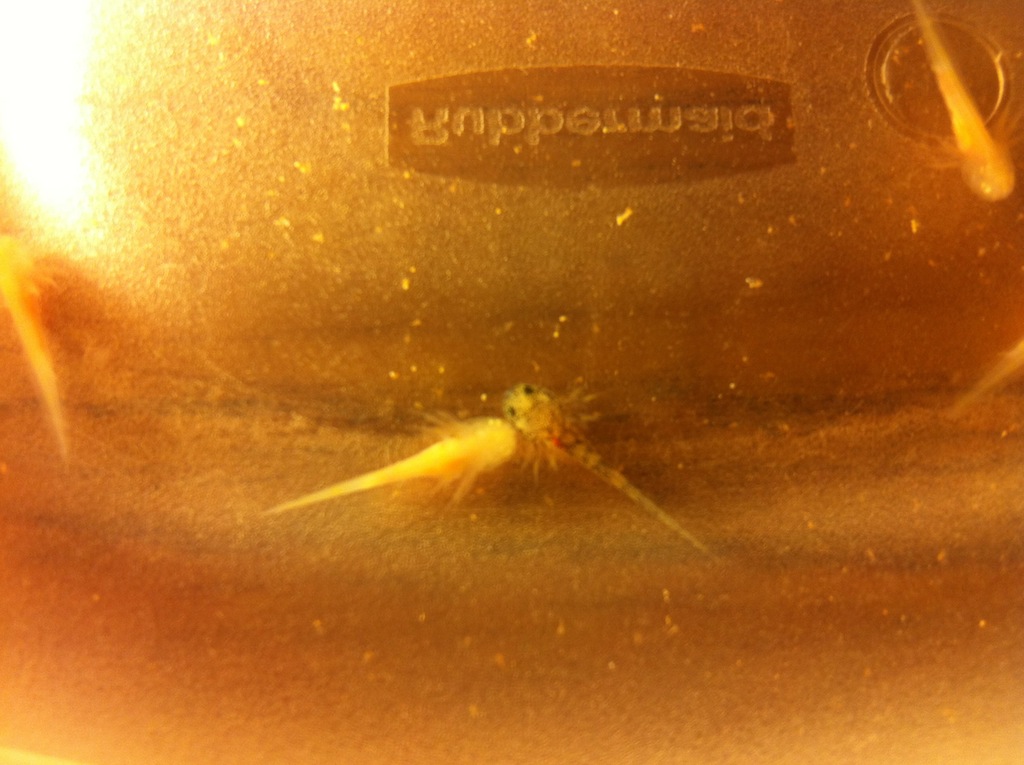 photo (13)