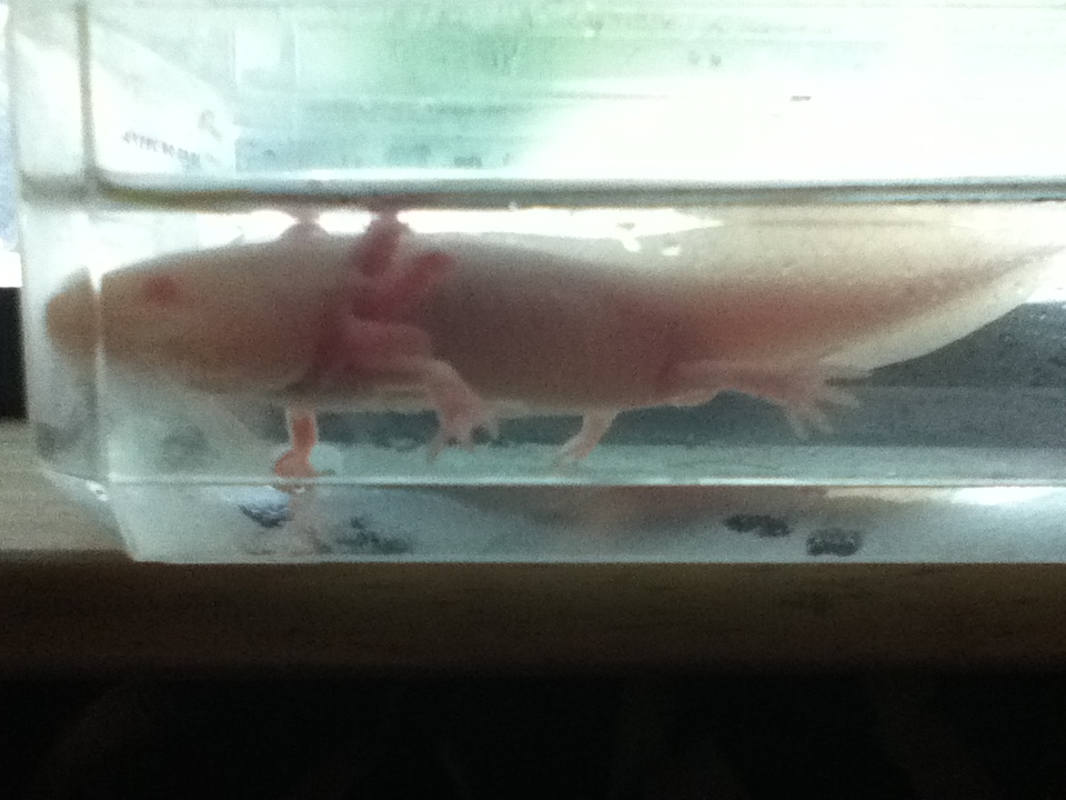 photo (2)