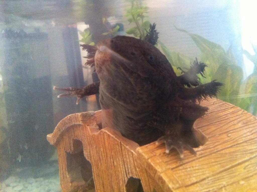 photo (2)