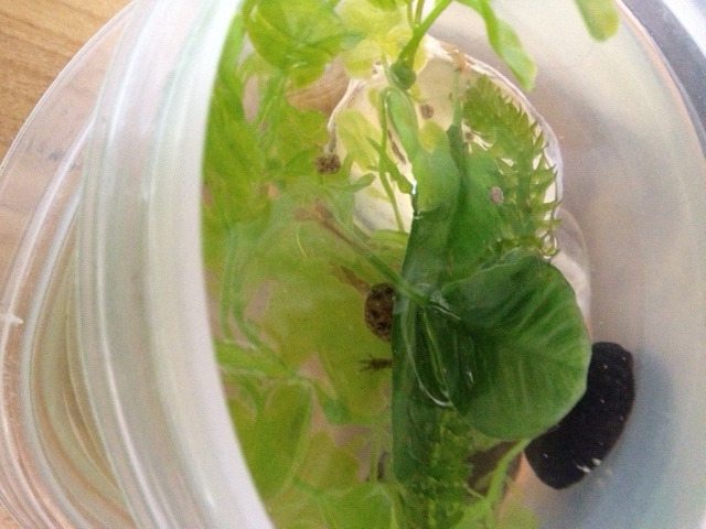 photo 3 (5)