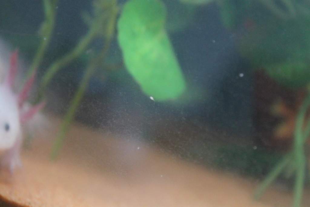 photo 3a