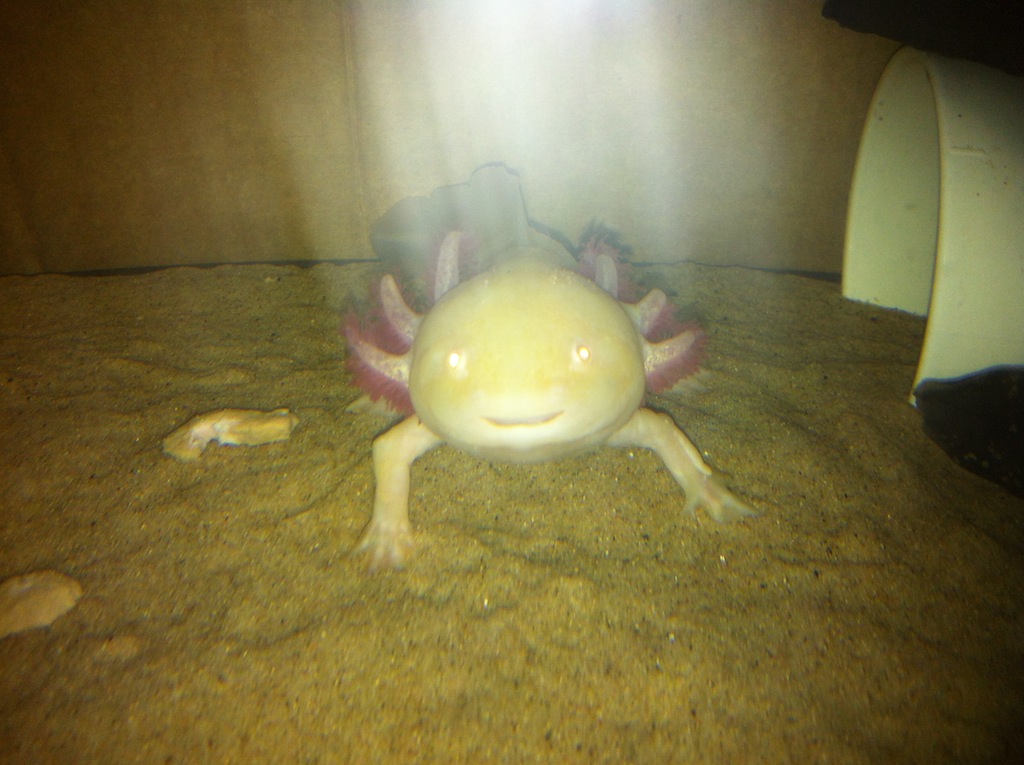 photo (5)