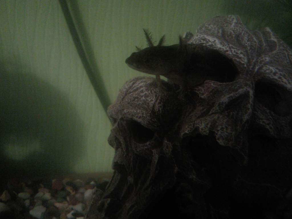 Photo0202