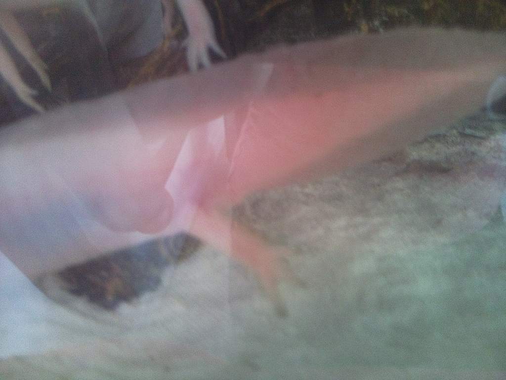 Photo0957