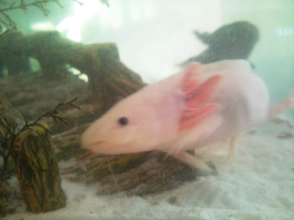 Photo0962