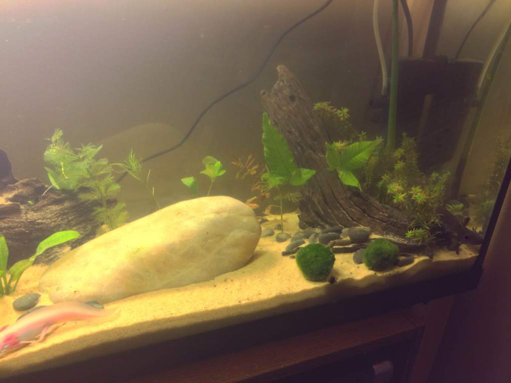 photo1 (1)