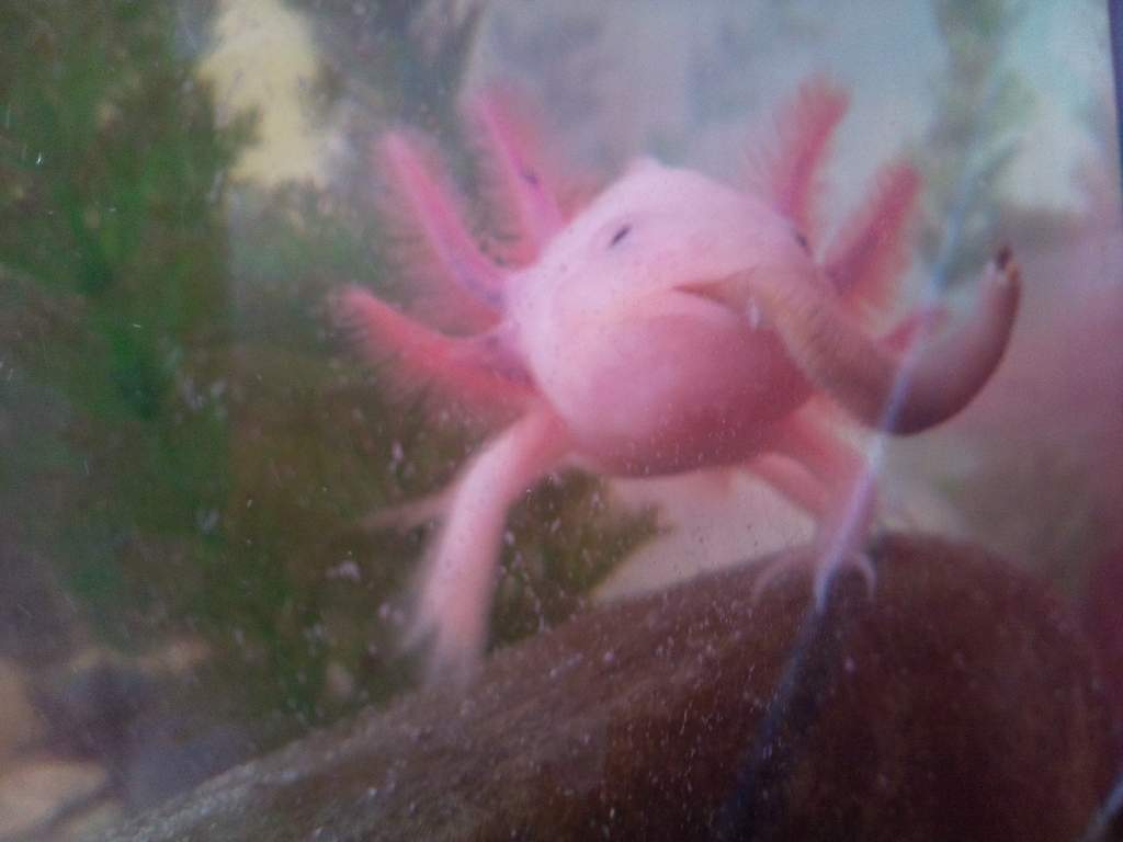 Photo1002
