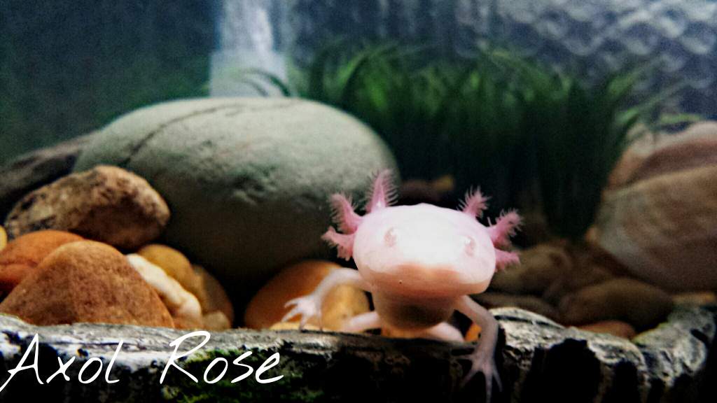 PicsArt 1403806544980