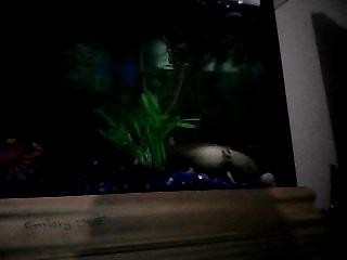 Picture0007