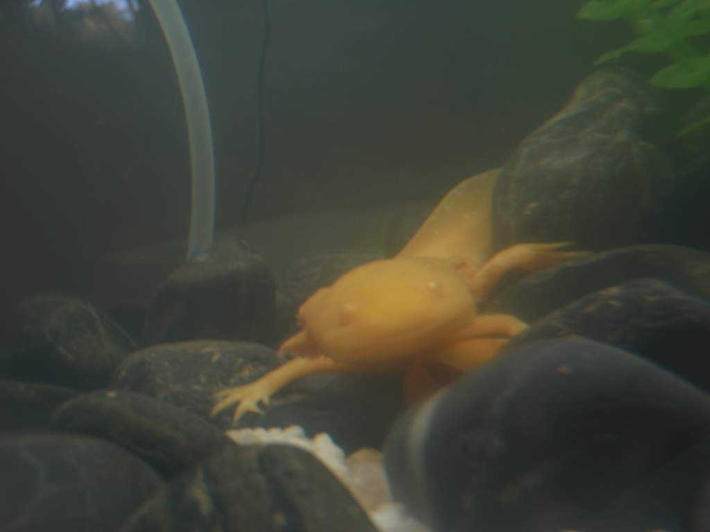 pink playing hide and seek