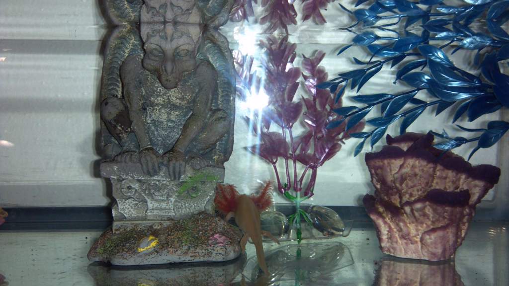 Pinky checking out his new home. ;)