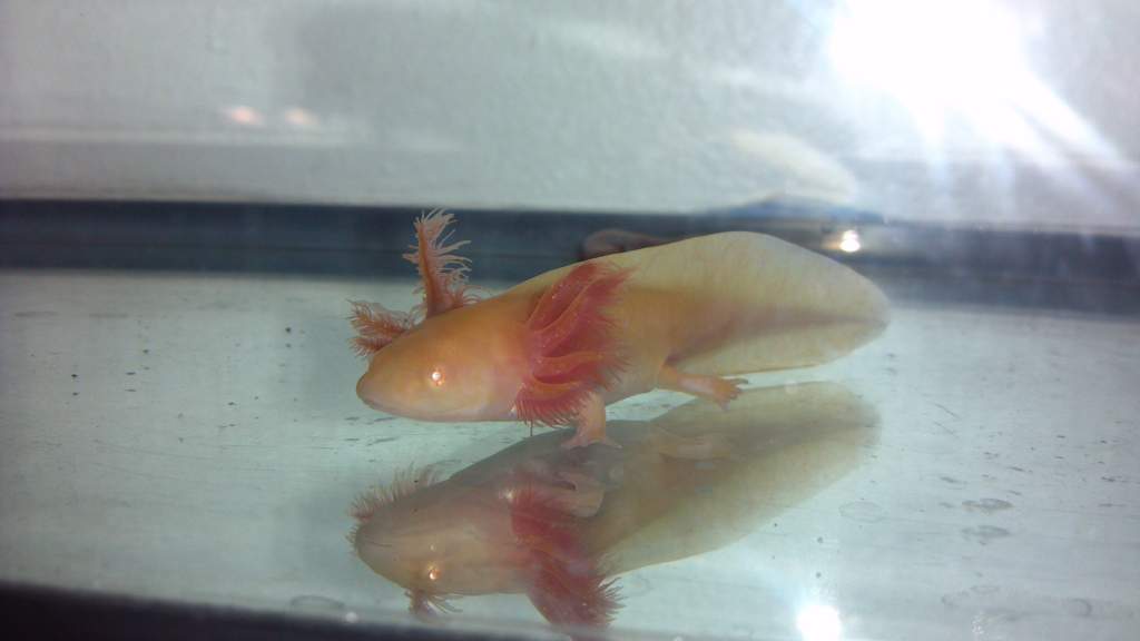 Pinkys first photo.