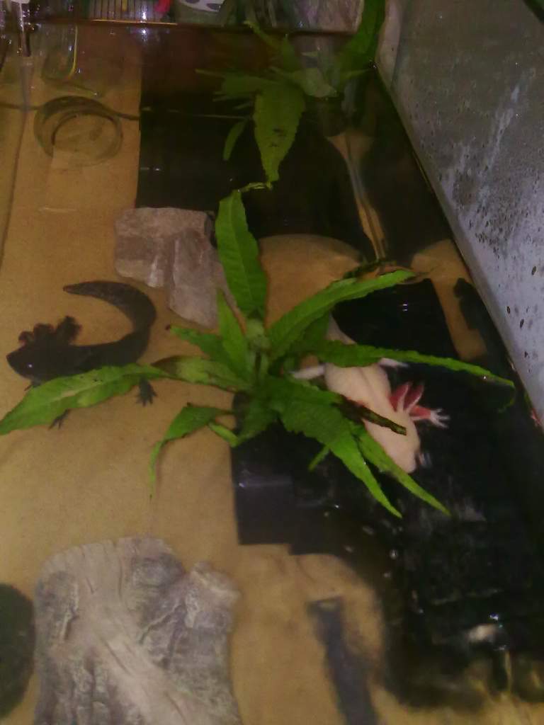 Playing hide n seek?!