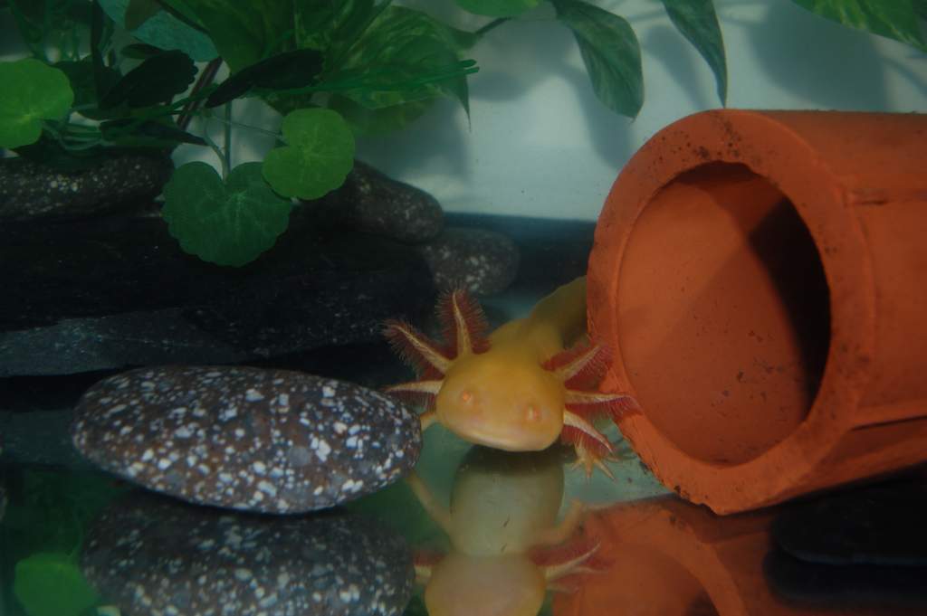 Posing as usual