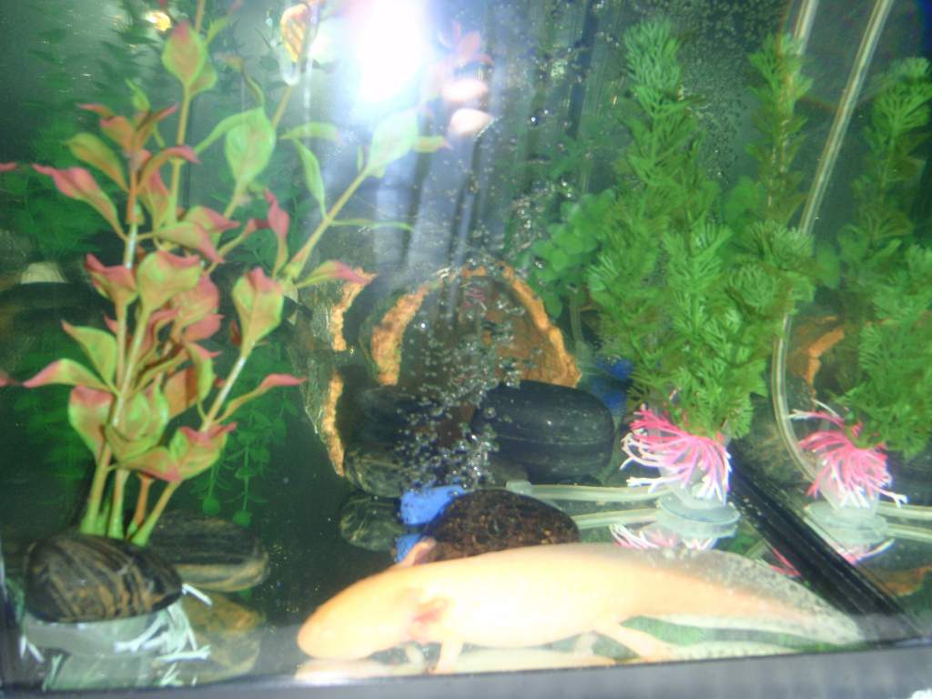 prince chilling
