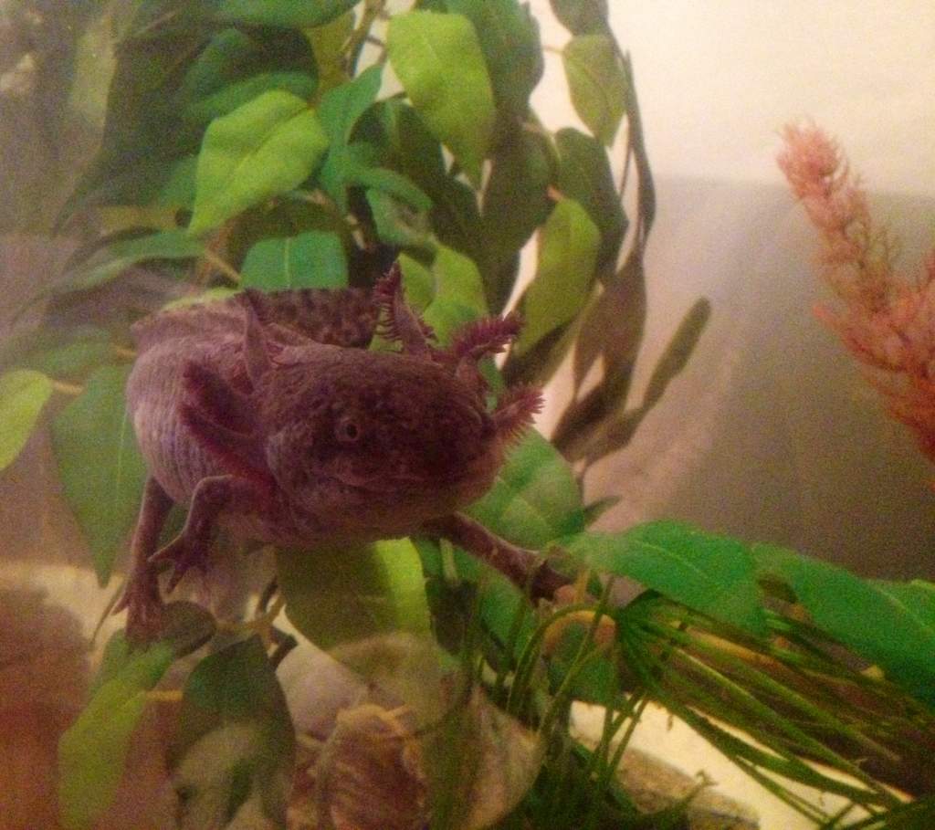 Princess, she is very photogenic... :D