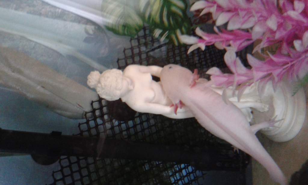 Princess Smaug and her nekid friend.