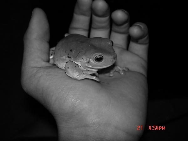 R.I.P Earl
4/12/07-1/24/09