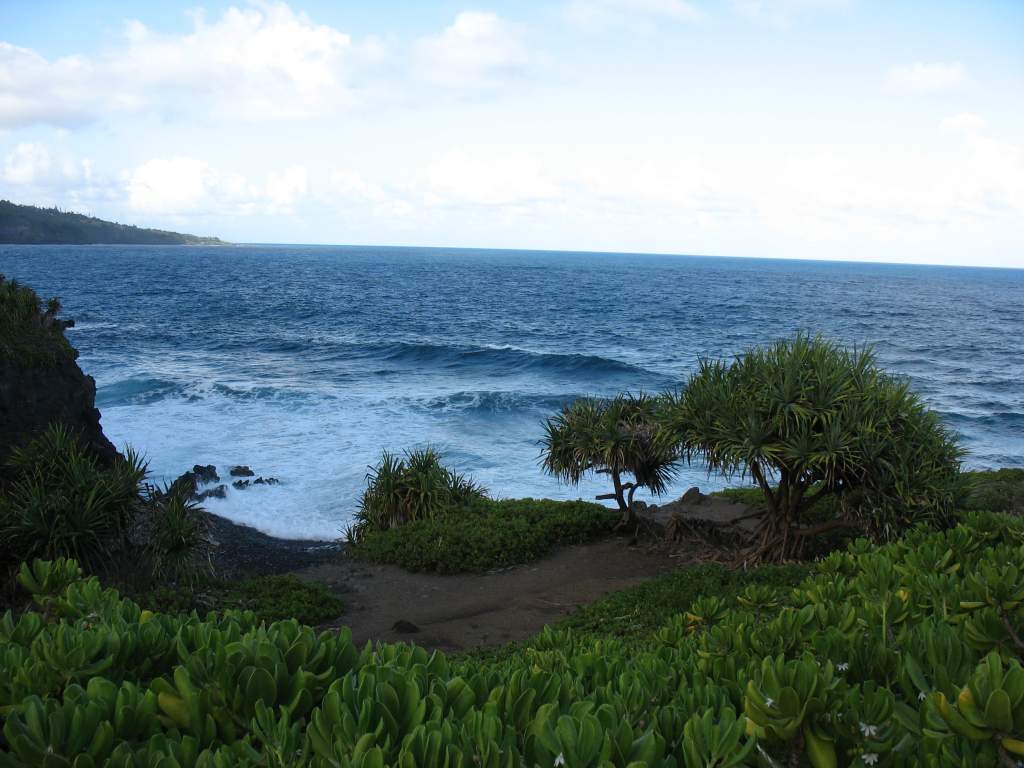 Random (Maui)