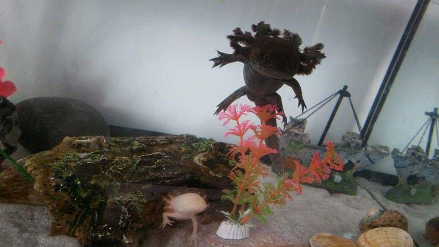 received 339175563098725