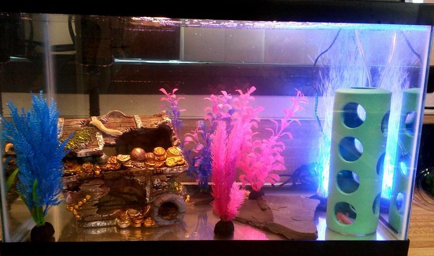 Recommended begginers setup : photo courtesy of my besty <3