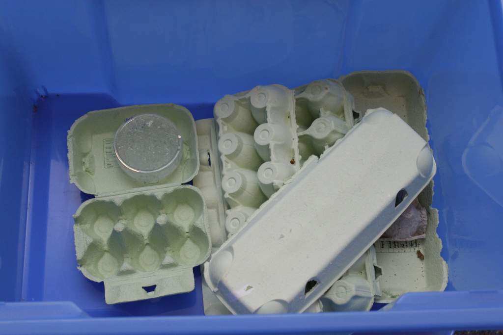 Roach tub for Turkistan red runners