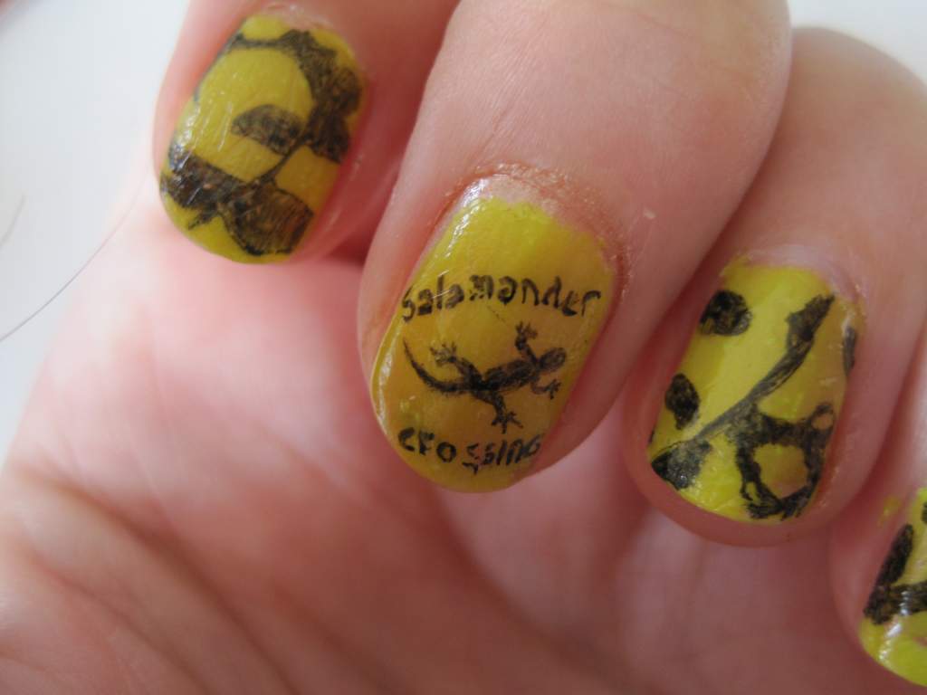 Salamander crossing