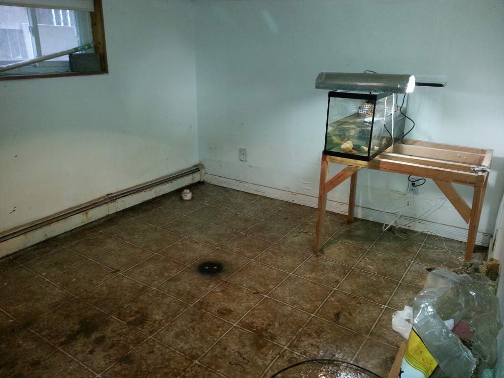 Salamander & Newt room. This a work in proggress.