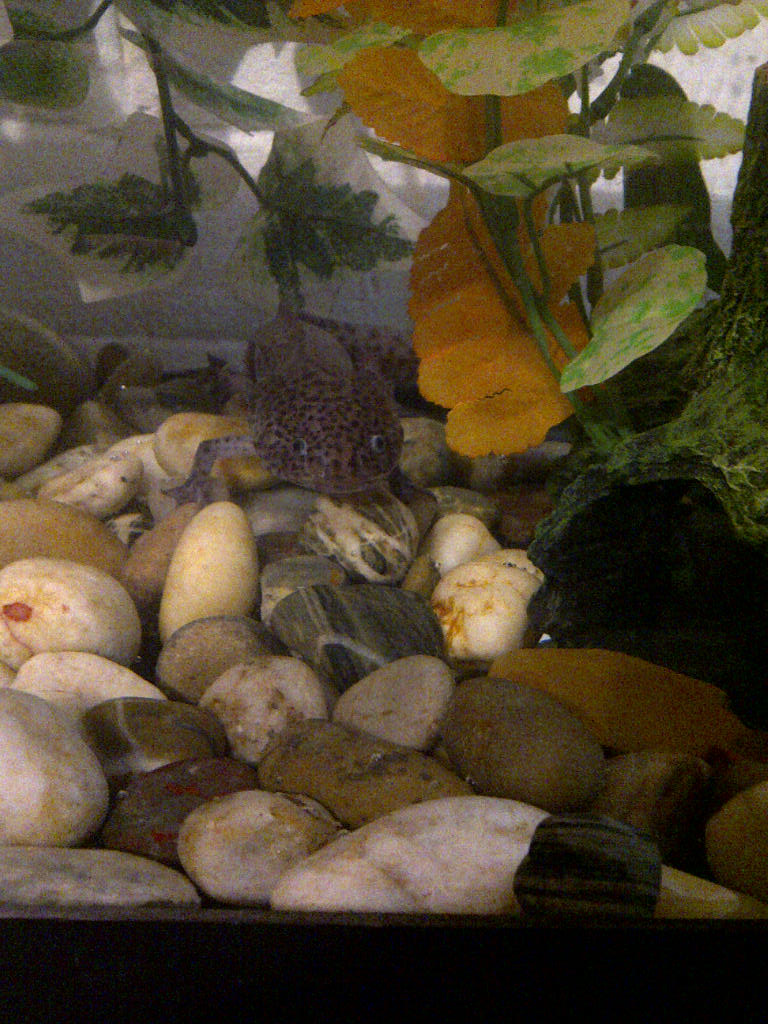 Sally in her new home
