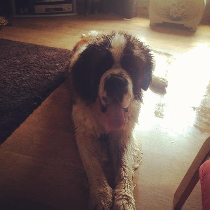 Sebastian