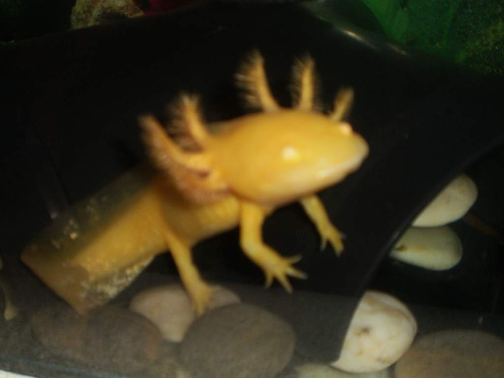 she/he really loves the camera!