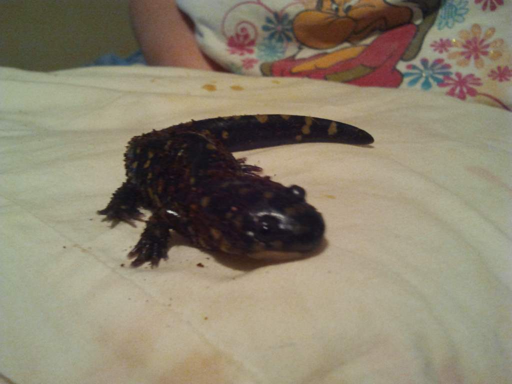 She looks huge in this picture
